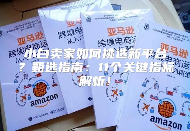 小白卖家如何挑选新平台？甄选指南：11个关键指标解析！