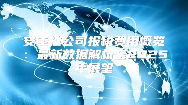 安圭拉公司报税费用概览：最新数据解析至2025年展望
