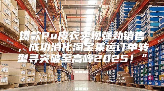 爆款Pu皮衣实现强劲销售，成功消化淘宝集运订单转型寻突破至高峰2025！”