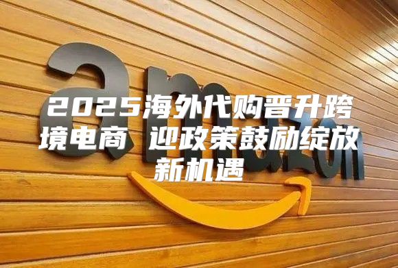 2025海外代购晋升跨境电商 迎政策鼓励绽放新机遇