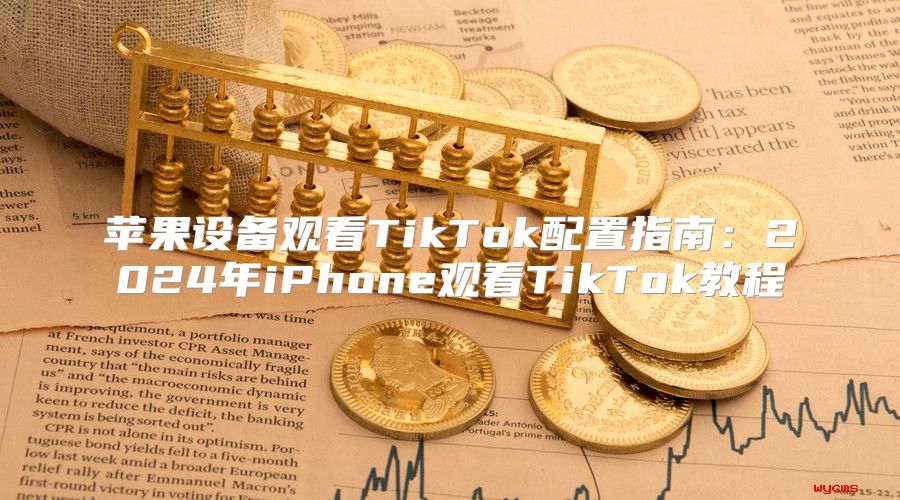 苹果设备观看TikTok配置指南：2025年iPhone观看TikTok教程