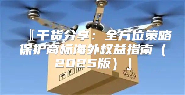『干货分享：全方位策略保护商标海外权益指南2025版』