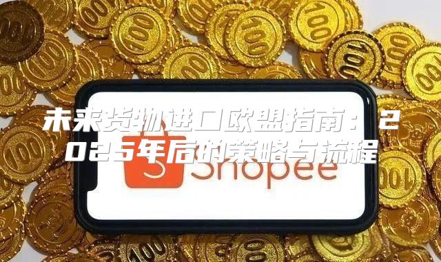 未来货物进口欧盟指南：2025年后的策略与流程