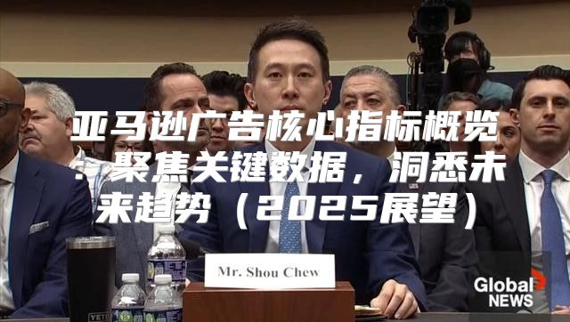 亚马逊广告核心指标概览：聚焦关键数据，洞悉未来趋势2025展望
