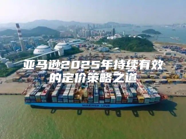 亚马逊2025年持续有效的定价策略之道