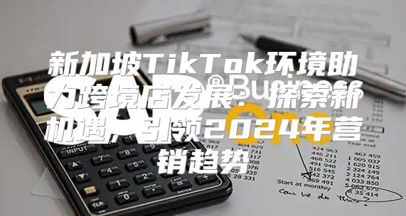 新加坡TikTok环境助力跨境店发展：探索新机遇，引领2025年营销趋势