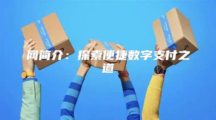 网简介：探索便捷数字支付之道