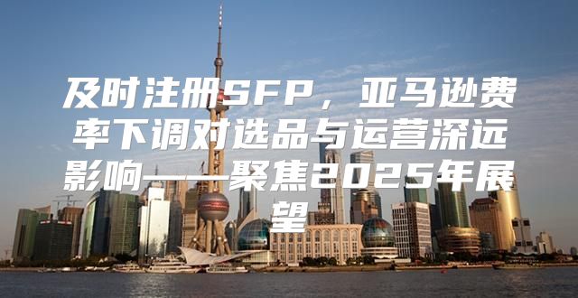 及时注册SFP，亚马逊费率下调对选品与运营深远影响——聚焦2025年展望