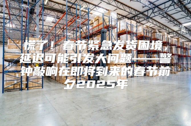 慌了！春节紧急发货困境，延迟可能引发大问题——警钟敲响在即将到来的春节前夕2025年