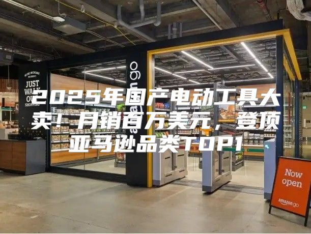 2025年国产电动工具大卖！月销百万美元，登顶亚马逊品类TOP1
