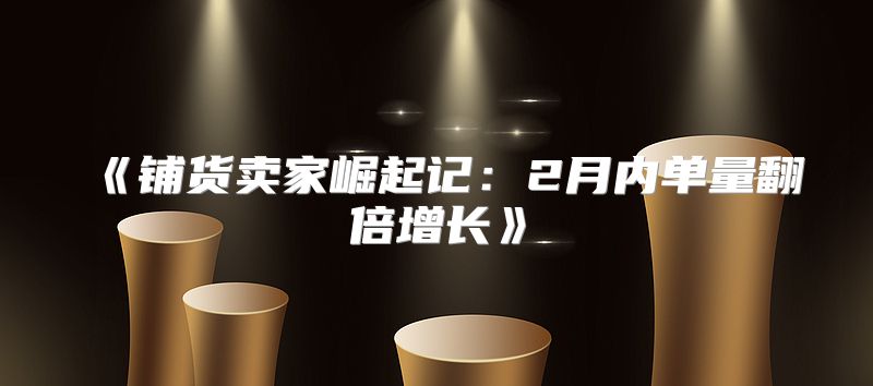 铺货卖家崛起记：2月内单量翻倍增长