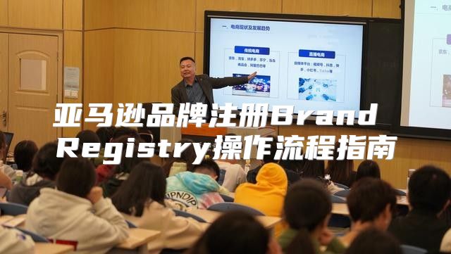 亚马逊品牌注册Brand Registry操作流程指南