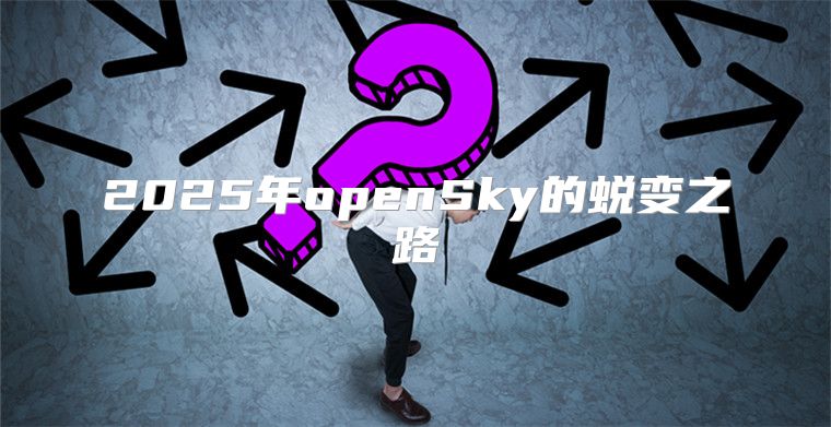 2025年openSky的蜕变之路