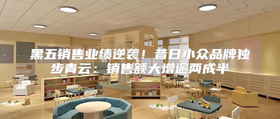 黑五销售业绩逆袭！昔日小众品牌独步青云：销售额大增逾两成半