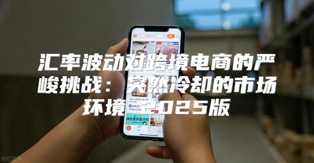 汇率波动对跨境电商的严峻挑战：突然冷却的市场环境 2025版