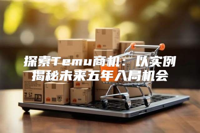 探索Temu商机：以实例揭秘未来五年入局机会