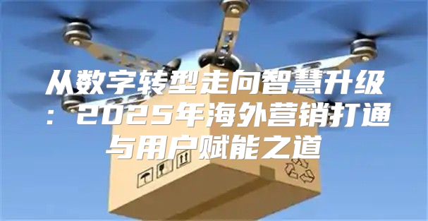 从数字转型走向智慧升级：2025年海外营销打通与用户赋能之道