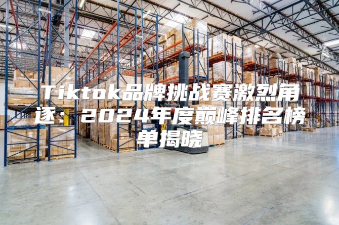 Tiktok品牌挑战赛激烈角逐：2025年度巅峰排名榜单揭晓
