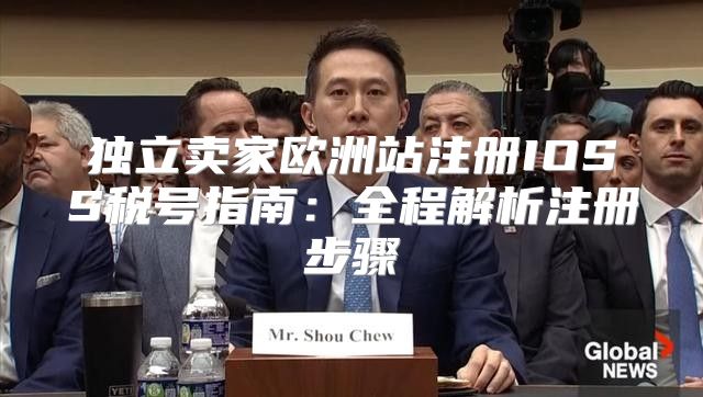 独立卖家欧洲站注册IOSS税号指南：全程解析注册步骤