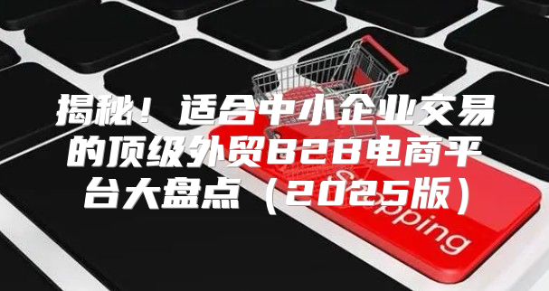 揭秘！适合中小企业交易的顶级外贸B2B电商平台大盘点2025版