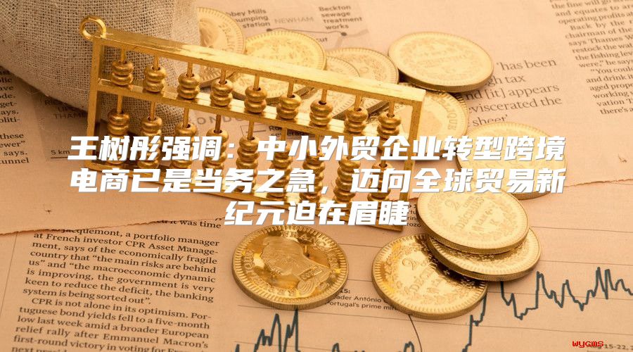 王树彤强调：中小外贸企业转型跨境电商已是当务之急，迈向全球贸易新纪元迫在眉睫