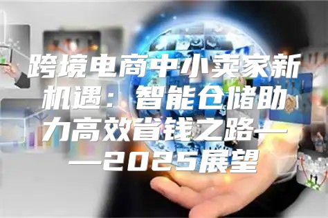 跨境电商中小卖家新机遇：智能仓储助力高效省钱之路——2025展望