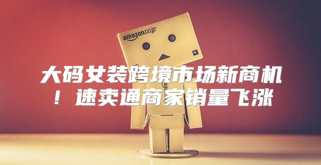 大码女装跨境市场新商机！速卖通商家销量飞涨