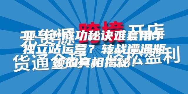 亚马逊成功秘诀难套用于独立站运营？转战遭遇瓶颈的真相揭秘！