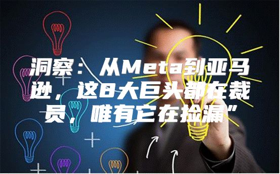洞察：从Meta到亚马逊，这8大巨头都在裁员，唯有它在捡漏”