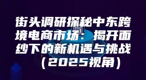 街头调研探秘中东跨境电商市场：揭开面纱下的新机遇与挑战2025视角
