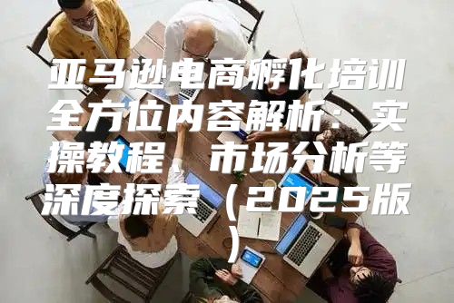 亚马逊电商孵化培训全方位内容解析：实操教程、市场分析等深度探索2025版