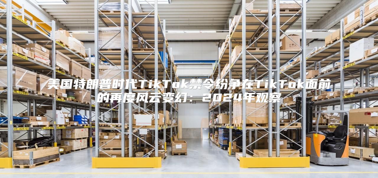 美国特朗普时代TikTok禁令纷争在TikTok面前的再度风云变幻：2025年观察