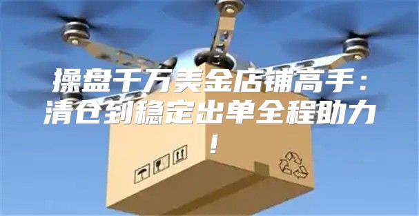 操盘千万美金店铺高手：清仓到稳定出单全程助力！