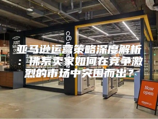 亚马逊运营策略深度解析：佛系卖家如何在竞争激烈的市场中突围而出？