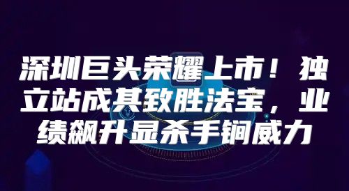 深圳巨头荣耀上市！独立站成其致胜法宝，业绩飙升显杀手锏威力