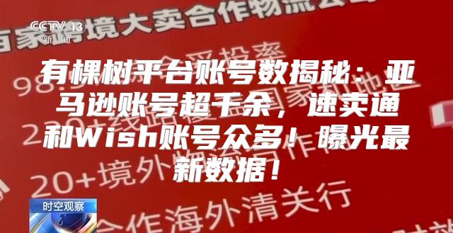 有棵树平台账号数揭秘：亚马逊账号超千余，速卖通和Wish账号众多！曝光最新数据！