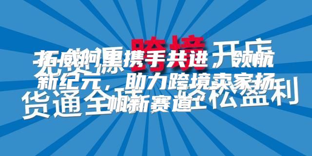 拓威阿里携手共进，领航新纪元，助力跨境卖家扬帆新赛道”