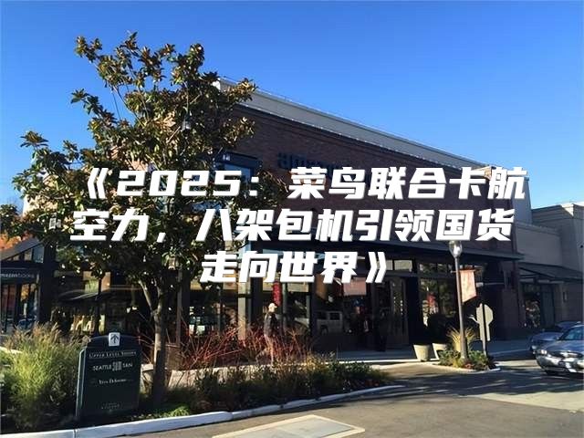 2025菜鸟联合卡航空力，八架包机引领国货走向世界