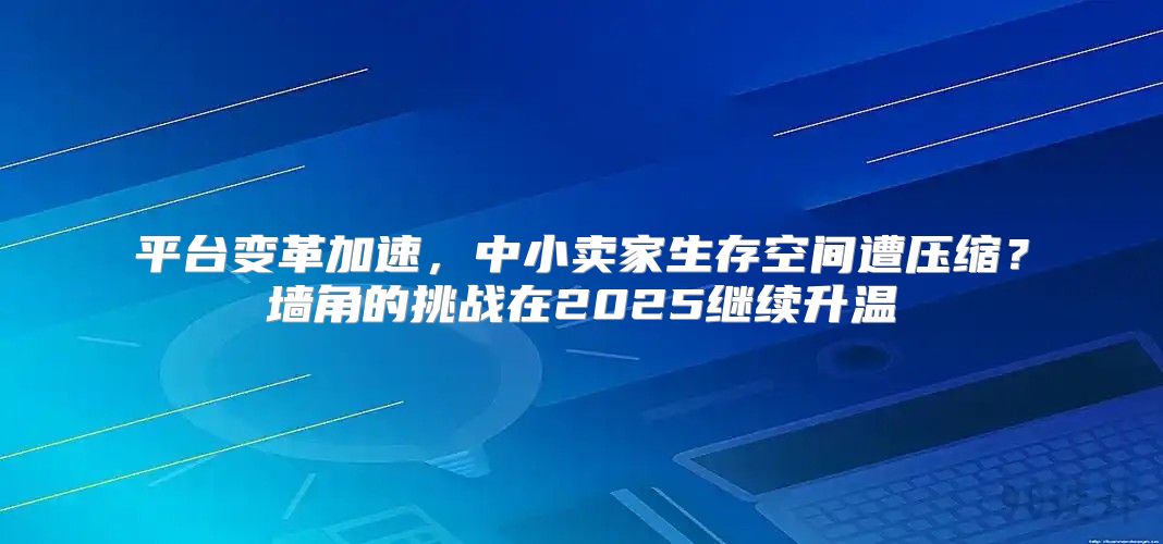平台变革加速，中小卖家生存空间遭压缩？墙角的挑战在2025继续升温