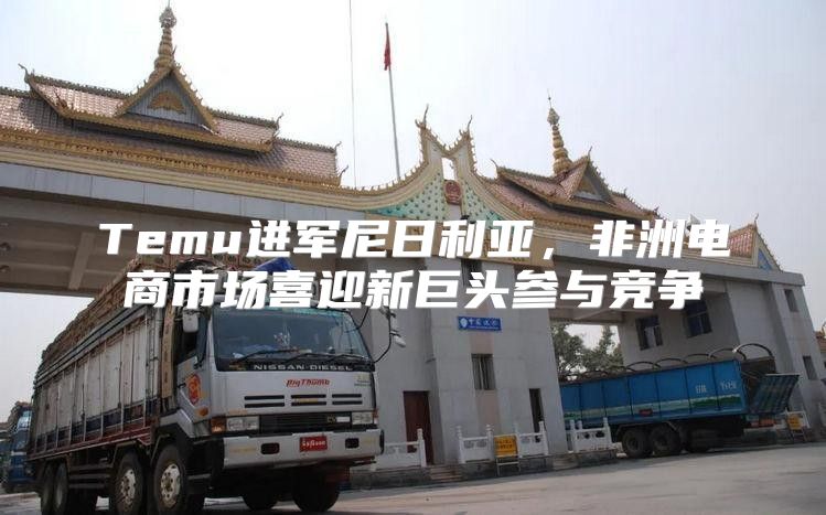 Temu进军尼日利亚，非洲电商市场喜迎新巨头参与竞争