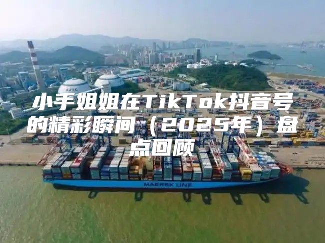 小手姐姐在TikTok抖音号的精彩瞬间2025年盘点回顾