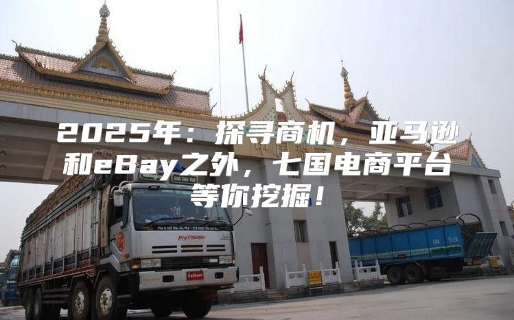 2025年：探寻商机，亚马逊和eBay之外，七国电商平台等你挖掘！