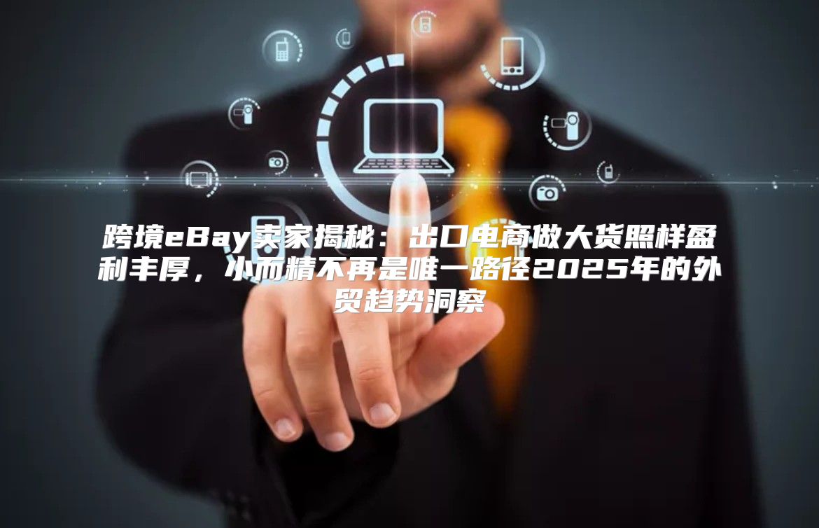 跨境eBay卖家揭秘：出口电商做大货照样盈利丰厚，小而精不再是唯一路径2025年的外贸趋势洞察