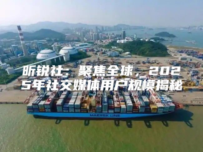 昕锐社：聚焦全球，2025年社交媒体用户规模揭秘