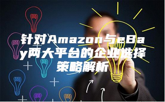 针对Amazon与eBay两大平台的企业选择策略解析