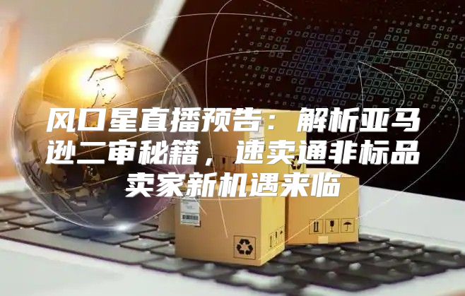 风口星直播预告：解析亚马逊二审秘籍，速卖通非标品卖家新机遇来临