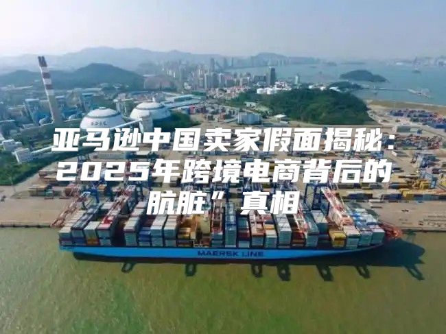 亚马逊中国卖家假面揭秘：2025年跨境电商背后的肮脏”真相