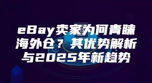 eBay卖家为何青睐海外仓？其优势解析与2025年新趋势