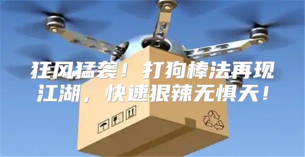 狂风猛袭！打狗棒法再现江湖，快速狠辣无惧天！