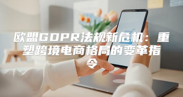 欧盟GDPR法规新危机：重塑跨境电商格局的变革指令